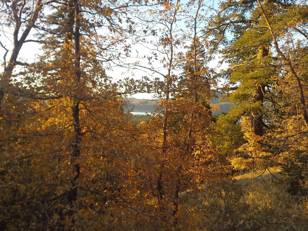 Hillcrest Suites & Cabins Velké Medvědí jezero Exteriér fotografie
